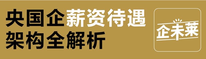 央国企福利解析分享